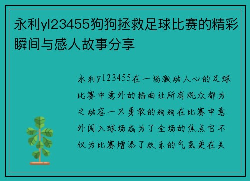 永利yl23455狗狗拯救足球比赛的精彩瞬间与感人故事分享